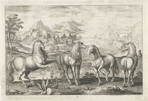 Chevaux (Vierpotige dieren, Animalivm Qvaddrvpedvm) - Adriaen Collaert