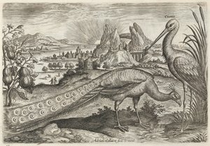  - Adriaen Collaert