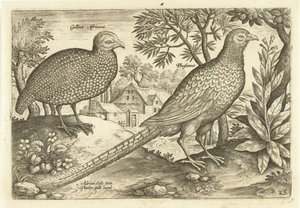 Deux poules dans un paysage