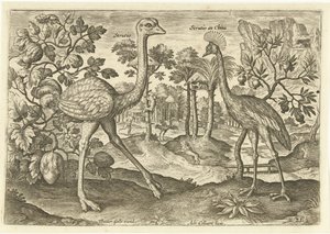 Deux oiseaux coureurs dans un paysage - Adriaen Collaert