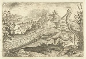 Deux oiseaux dans un paysage (Avivm Vivae) (Oiseaux) - Adriaen Collaert