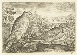 Deux oiseaux dans un paysage