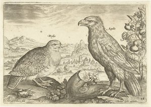 Deux oiseaux dans un paysage
