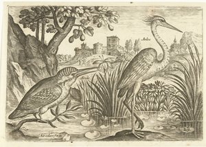 Deux oiseaux dans un paysage - Adriaen Collaert
