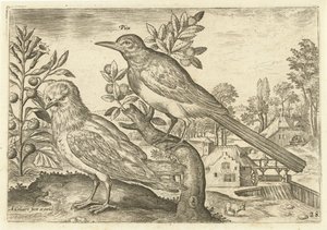 Deux oiseaux dans un paysage