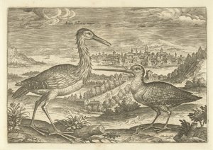 Deux oiseaux dans un paysage - Adriaen Collaert