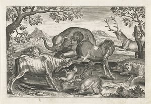 Animaux combattants, Animaux quadrupèdes (titre de la série) - Adriaen Collaert
