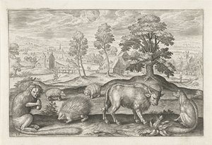 Divers animaux - Adriaen Collaert