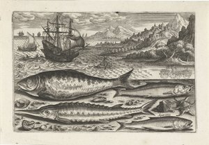Quatre poissons sur la plage