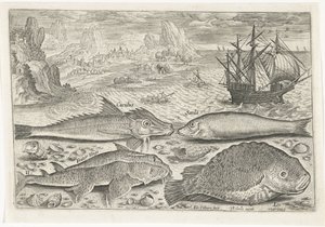 Quatre poissons sur la plage