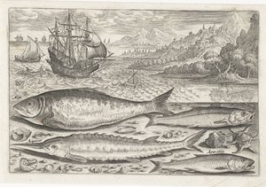 Quatre poissons sur la plage
Piscivm vivae icones (série)