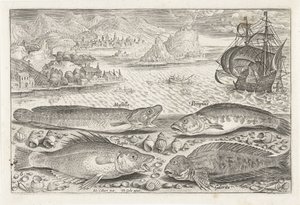 Quatre poissons sur la plage