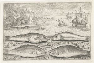 Quatre poissons sur la plage