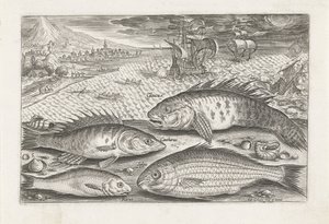 Quatre poissons sur la plage (Vissen, Piscivm vivae icones)