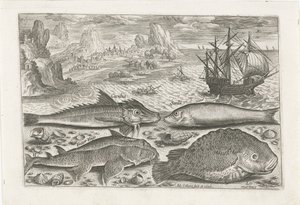 Quatre poissons sur la plage