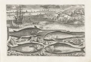 Quatre poissons sur la plage