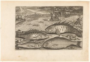 Quatre poissons sur la plage