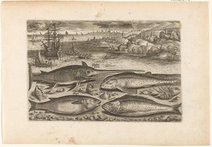 Quatre poissons sur la plage