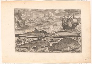 Quatre poissons sur la plage