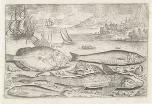 Quatre poissons sur la plage