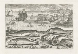 Cinq poissons sur la plage
