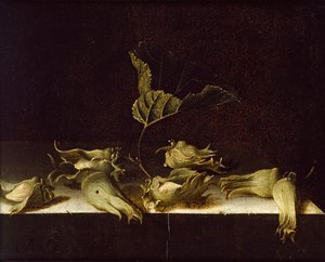 Nature morte avec noisettes, 1696