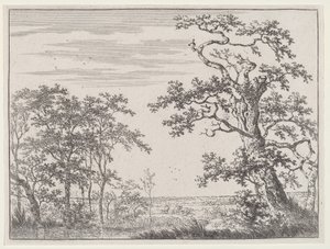Paysage avec un ruisseau et un arbre ancien
