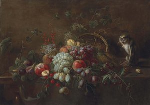 Raisins, pommes, prunes, figues et autres fruits sur une table en bois partiellement drapée, un singe mangeant des noix près d