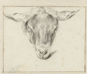Tête de mouton, de face - Adriaen van de Velde (attributed to)