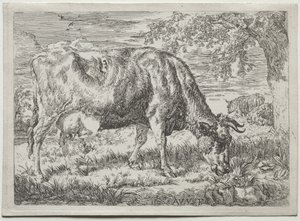 Vache et deux moutons au pied d