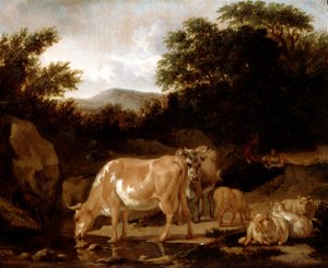 Vaches et moutons dans un bois