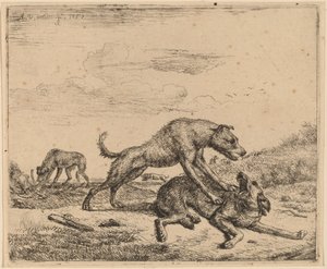 Chiens de combat