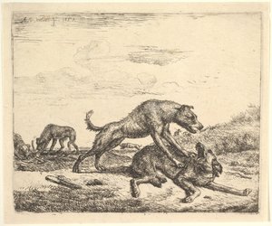 Chiens de combat, de Différents Animaux