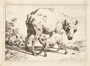 Moutons et deux agneaux - Adriaen van de Velde
