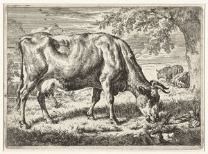 Vache broutant et deux moutons