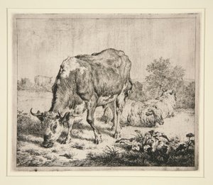 Le Bœuf Pie et les trois moutons - Adriaen van de Velde