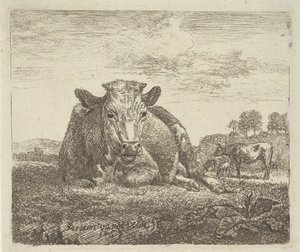 Vache couchée, de Différents Animaux