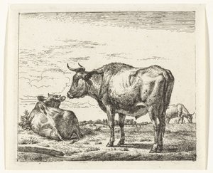 Taureau debout (Divers animaux) - Adriaen van de Velde