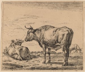 Taureau debout - Adriaen van de Velde