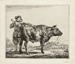 Le Vacher et le Taureau - Adriaen van de Velde
