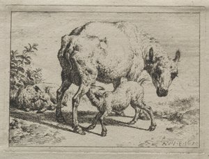 La brebis et deux agneaux - Adriaen van de Velde