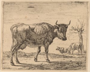 Trois vaches