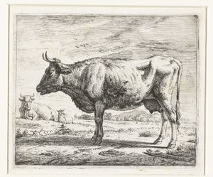 Deux vaches et un mouton