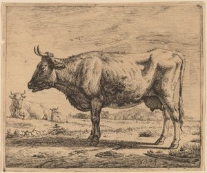 Deux Vaches et un Mouton