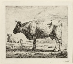 Deux vaches et un mouton