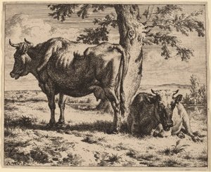 Deux vaches sous un arbre