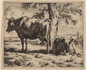 Deux vaches sous un arbre