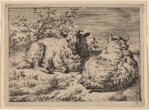 Deux moutons couchés - Adriaen van de Velde