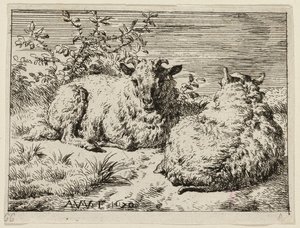 Deux moutons - Adriaen van de Velde