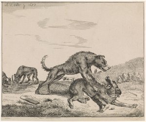 Chiens se battant (Vee)